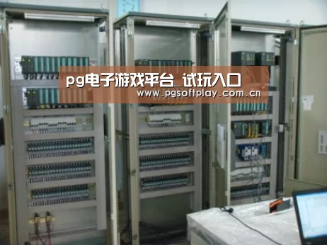 pg电子试玩案例展示五