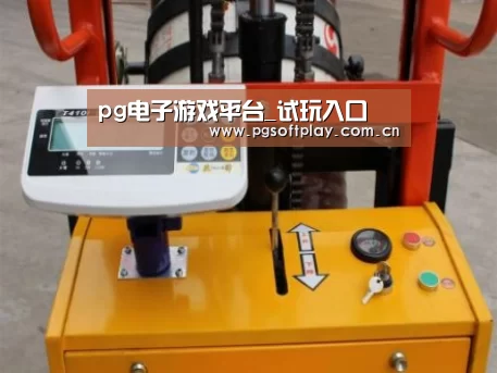 pg电子试玩案例展示三