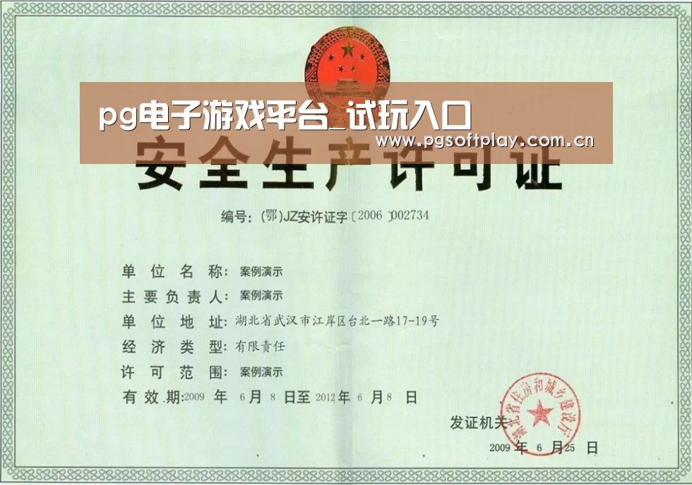 pg电子试玩荣誉证书三