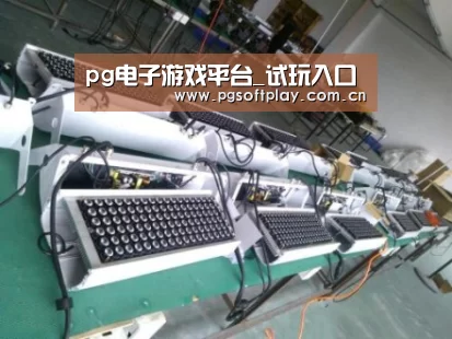pg电子试玩案例展示一