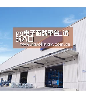 pg电子游戏平台_试玩入口