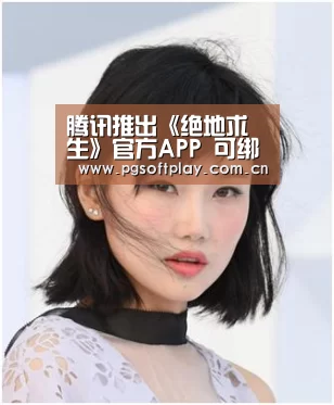 PG模拟器