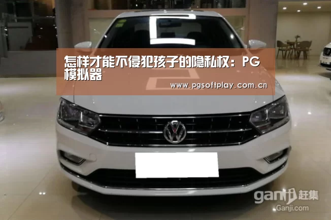 怎样才能不侵犯孩子的隐私权:PG模拟器(图2) 在线试玩