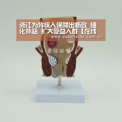 浙江为残疾人保障出新政 细化补贴 扩大受益人群【在线试玩】(图3) PG电子
