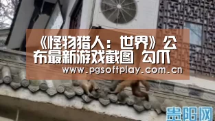 《怪物猎人:世界》公布最新游戏截图 勾爪骑龙:pg电子试玩(图3) PG电子