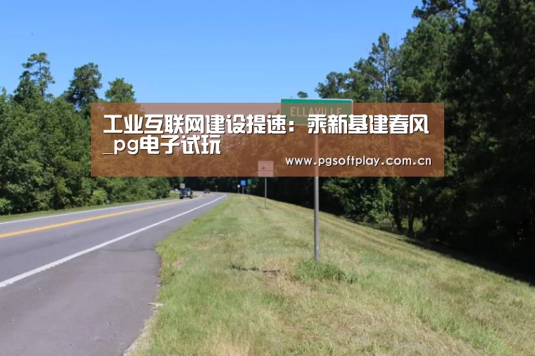 工业互联网建设提速：乘新基建春风_pg电