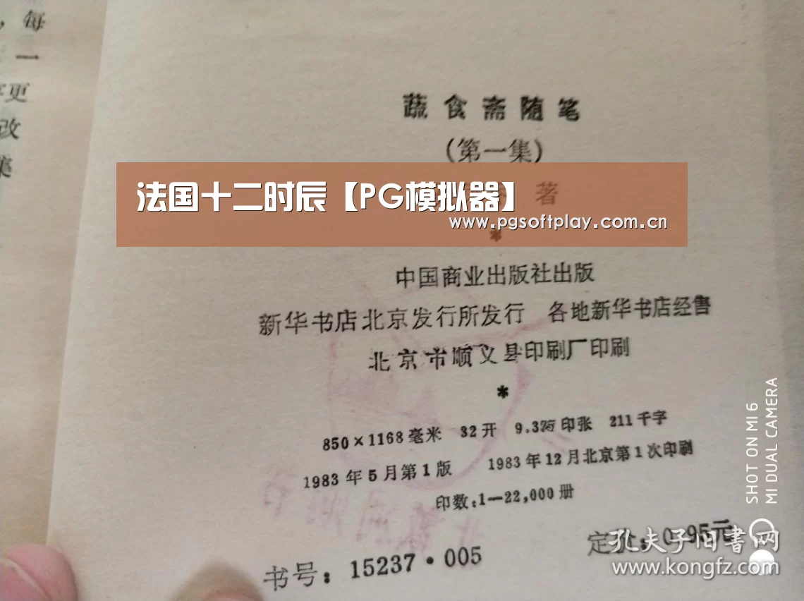 法国十二时辰【PG模拟器】(图2) 在线试玩